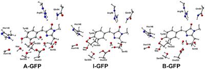 A Not Obvious Correlation Between the Structure of Green Fluorescent Protein Chromophore Pocket and Hydrogen Bond Dynamics: A Choreography From ab initio Molecular Dynamics